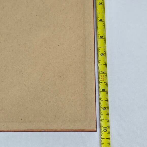 Rare 1998 Winter Olympic Games in Nagano, Japan Wooden & Glass Wall Plaques (2) - Picture 8 of 8